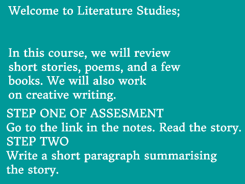 Literature Studies Assessment 