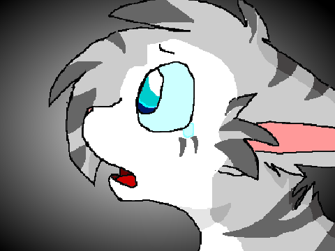 -SkyFall- CCE