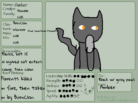 Character Sheet for The Dark Storm RP remix
