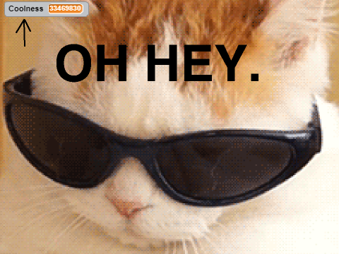 Cool Cat