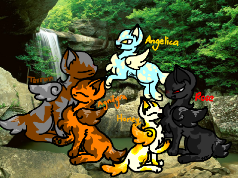 Loyluff OCs - Honey, Rose, Agnilyra, Terran, and Angelica