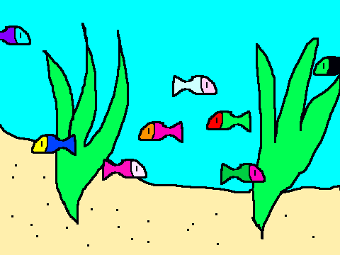 Aquarium