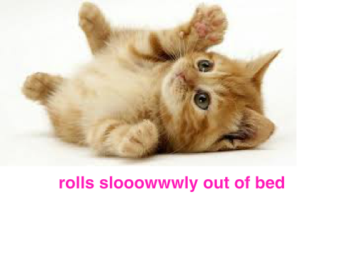 me in the morning [as a cat]