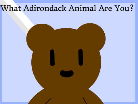 What Adirondack Animal Are You?