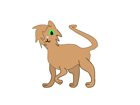 Cat Animation