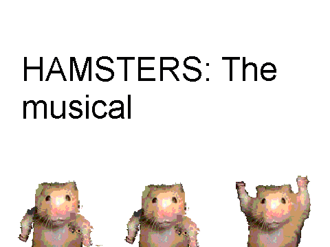 HAMSTERS: The musical