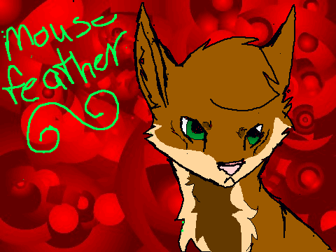 New cat contest (entured :D )