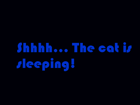 The sleeping cat
