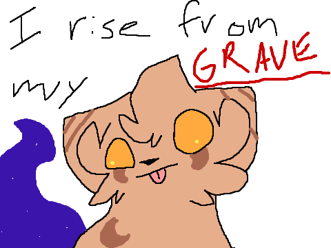 hhhhhhhh