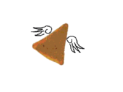 Corn Chips Were Meant To Fly???????
