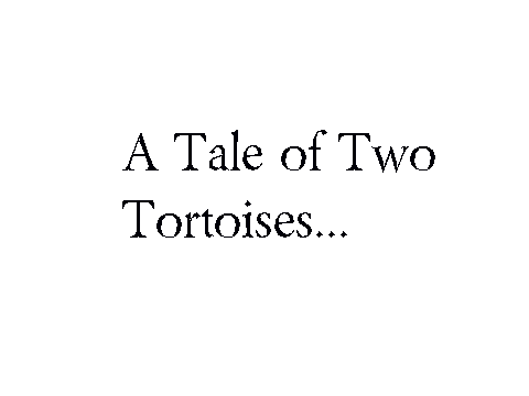 The Tortoise Joke