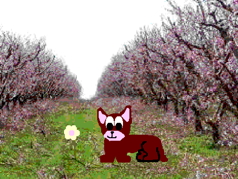 Blossomtail