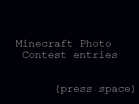 Minecraft Photo Contest Entries