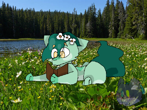 Basil~DTA Entry