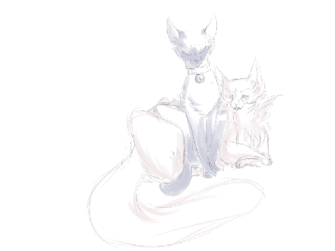 Cat practice with sassy bois