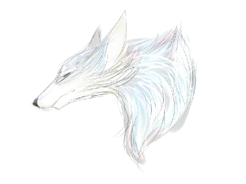 A fox doodle of my friend's character