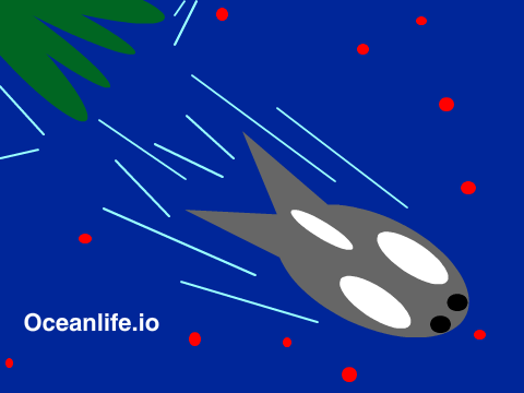 Oceanlife.io
