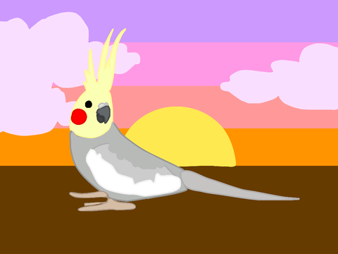Interactive Cockatiel