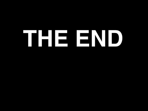 The end (true ending)