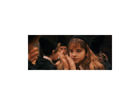Hermione Granger For Life remix