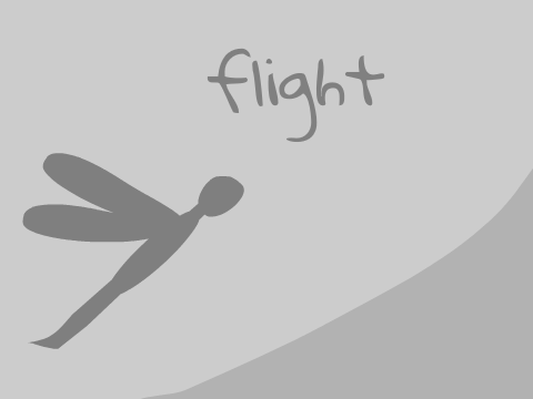 Flight - 2.0