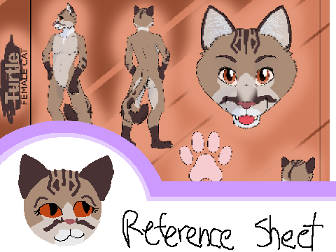 Turtle Refrence Sheet