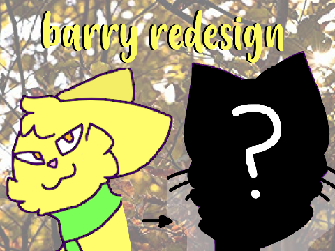 barry  ★  redesign