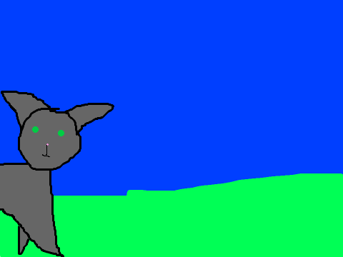 Cat?