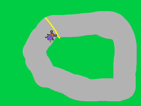 Running Beetle (lesson 1)