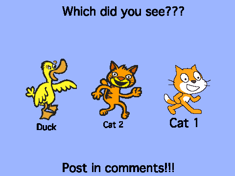Which did you see????