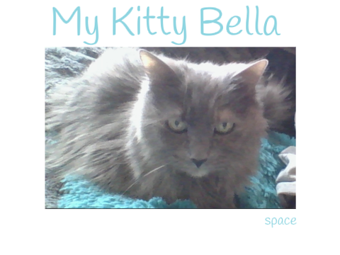 Photo Album of Bella {NEW PICS}