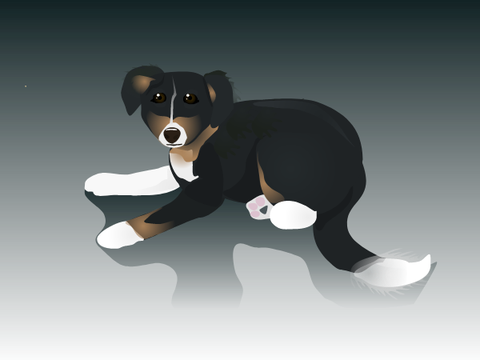 Vector Dog
