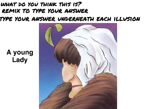 illusion-guessing competition remix