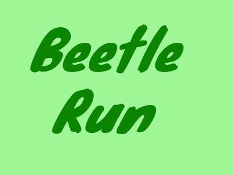 Beetle Run