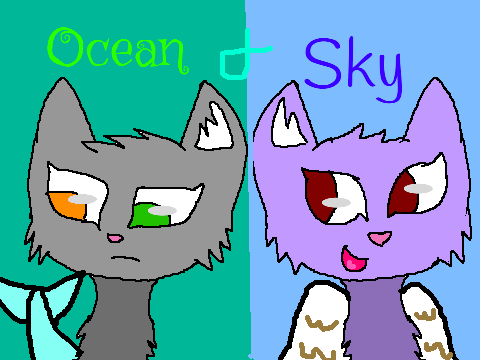 Ocean and Sky