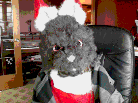 Fursuit awesomeness!