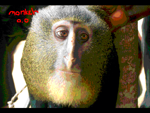 New Monkey Discovery