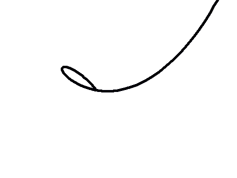 Mouse Tail