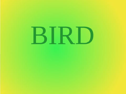 BIRD