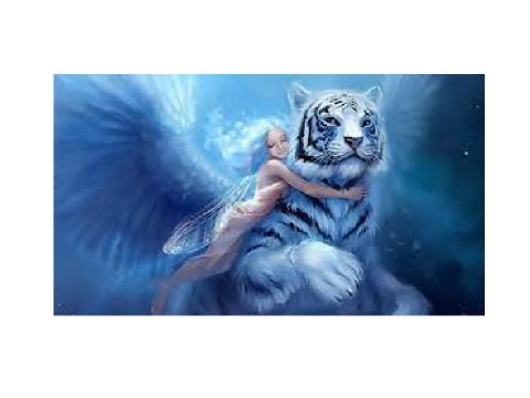 fantasy picture for studio