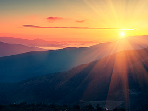 Dawn (Chapter Ten)