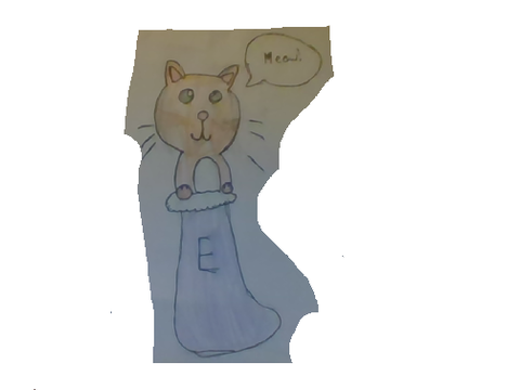 My Stocking Cat :P