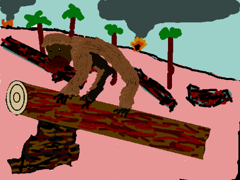 Stop Deforestation