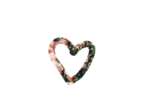aaaa