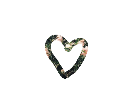 aaa