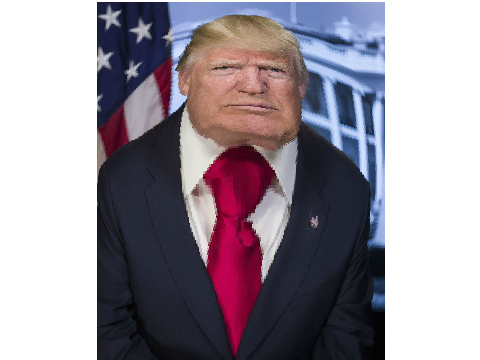 Play With Trump