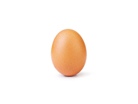 WORLD RECORD EGG