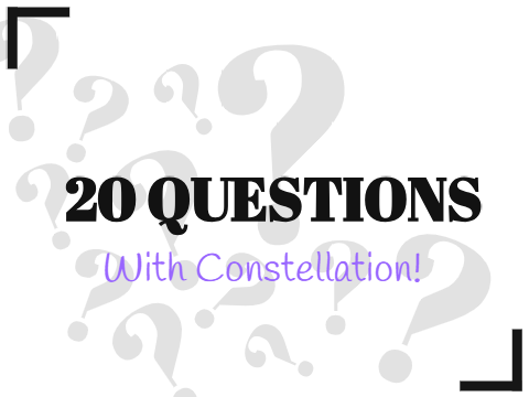 20 Questions