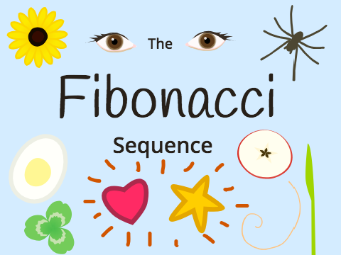 Fibonacci - Animation