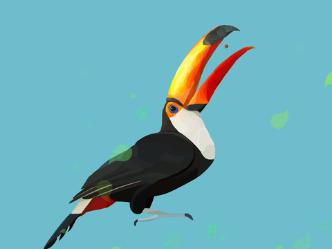 Toco Toucan Blockshade
